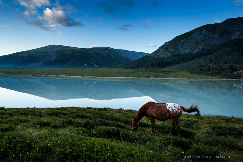 Altai Serenity