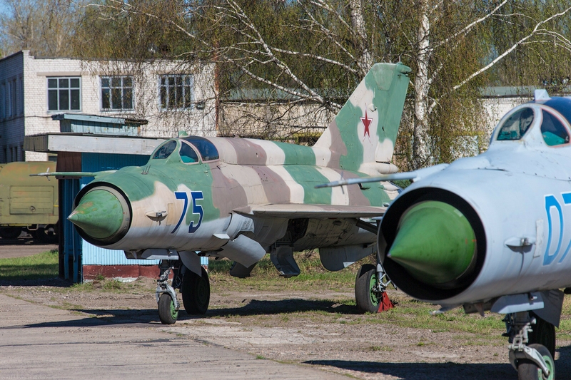 MiG 21: Detailed Pictures