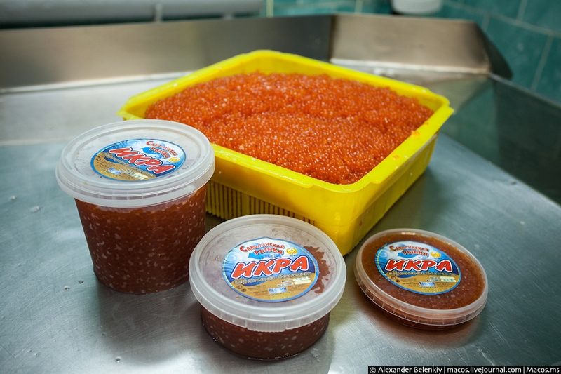 Tasty Life Or Making Red Caviar