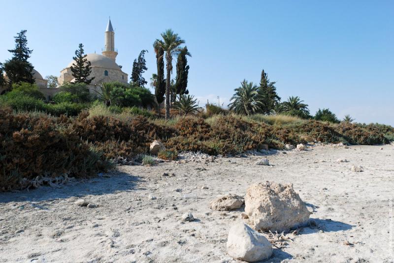 Cyprus: Hala Sultan Tekke Mosque And Salt Lake 13