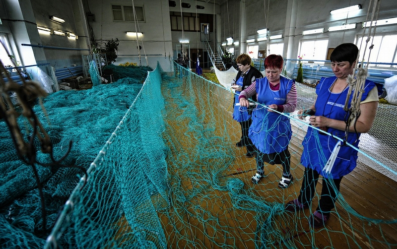 Making Anti-Shark Nets 