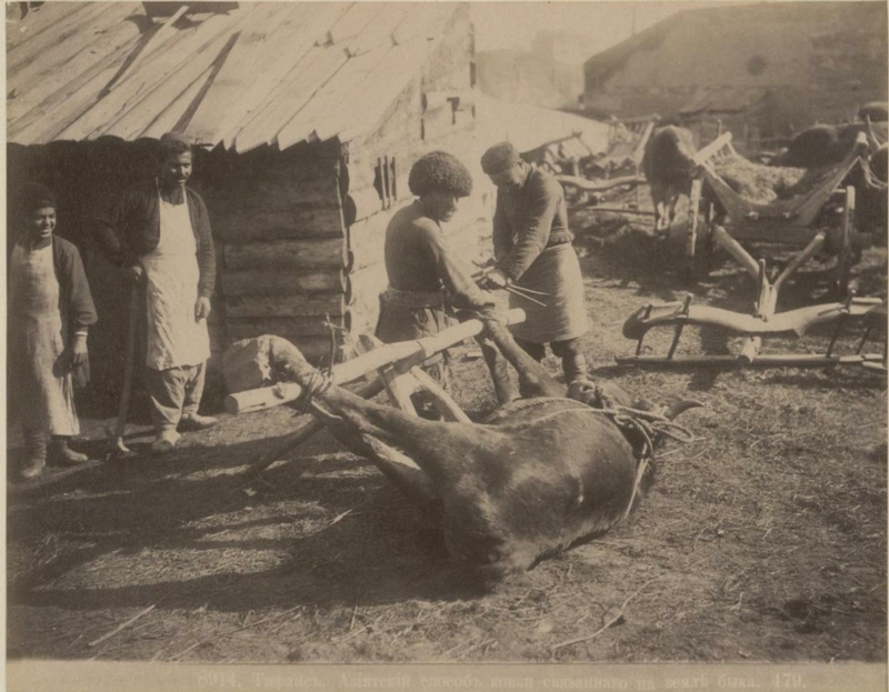 ermakov001 28 Caucasia and Transcaucasia: Ethnic Photos From the XIX Century