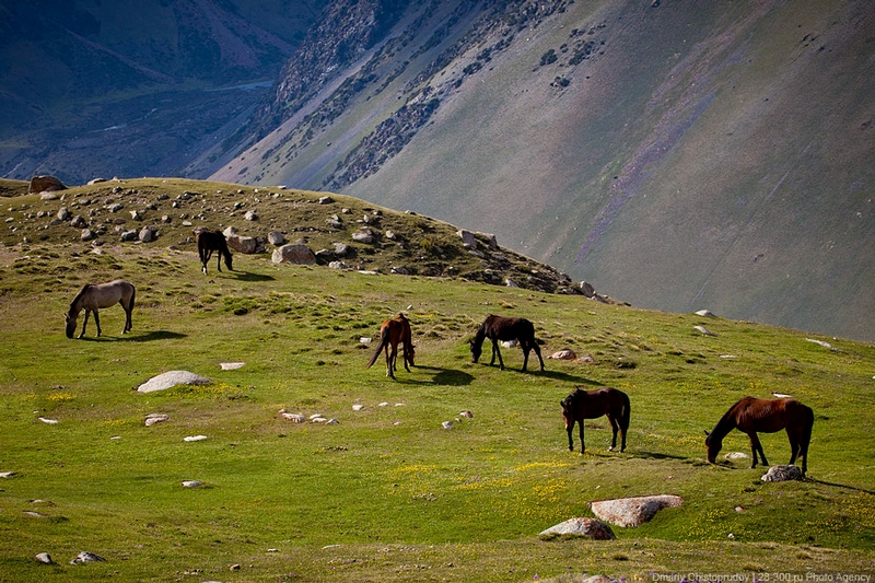 Pure Kirghiz Land And Its Nomads