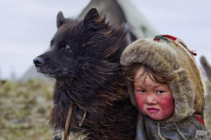 The Best Pictures of the Russian People 2012