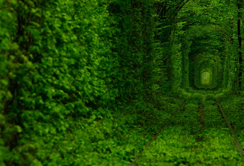 The Tunnel of Love