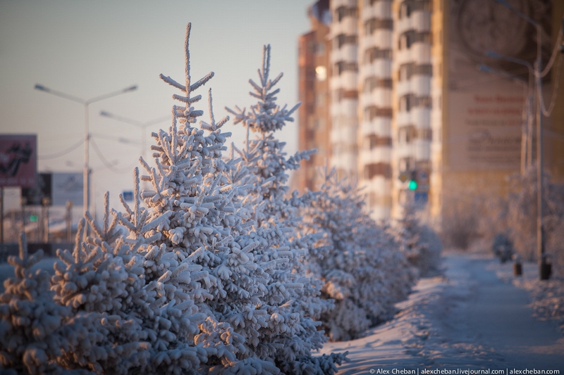 Winter Begins From Yakutia!