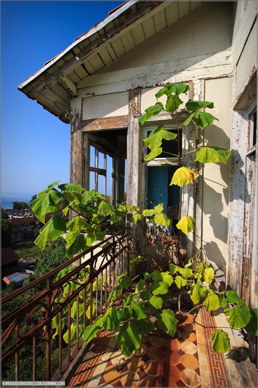 Abandoned Russian palace in Abkhazia 9