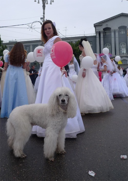 Russian brides on parade 7