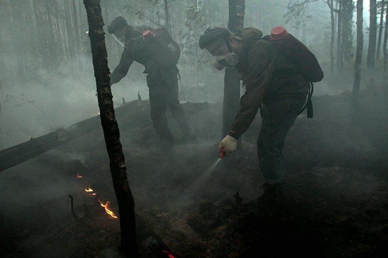Extinguishing Wildfires 10