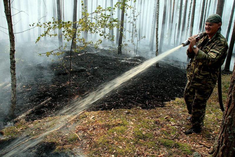 Extinguishing Wildfires 26