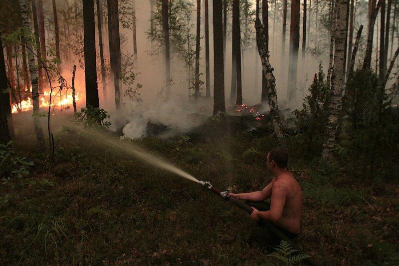 Extinguishing Wildfires 8