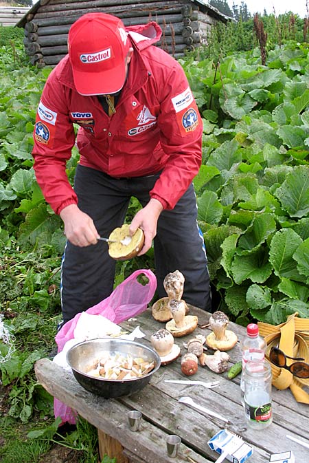 Mushrooms_in_Russia 30
