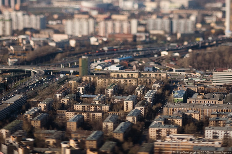 This Cute Tiny Moscow