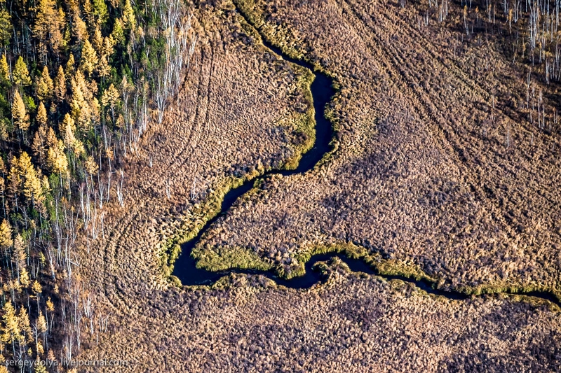 Autumn colors of Yakut taiga from a helicopter
