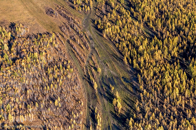 Autumn colors of Yakut taiga from a helicopter