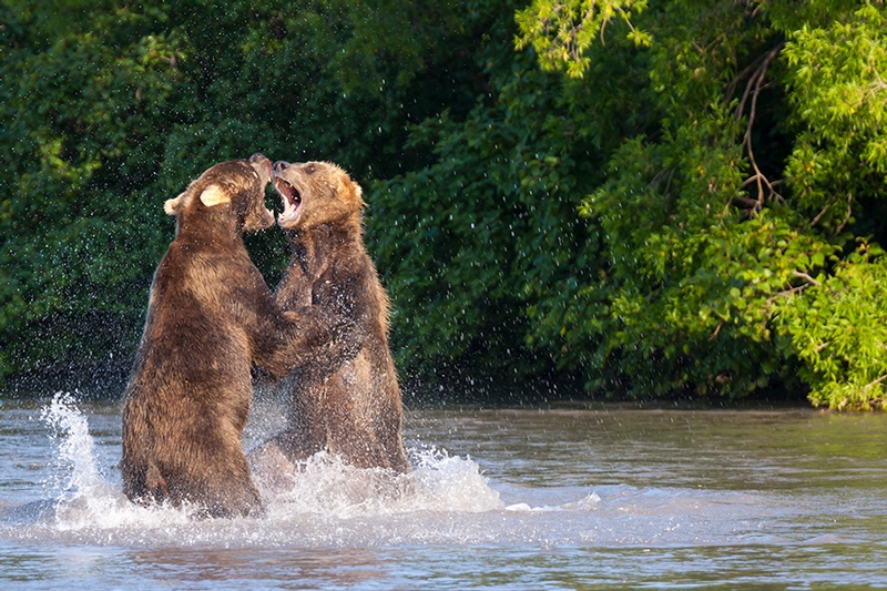 http://media.englishrussia.com/newpictures/Kurill-lake-the-village-of-the-bears/220863_original.jpg
