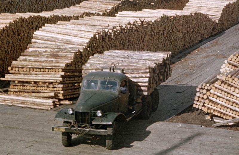 The Russian Timber Industry 25