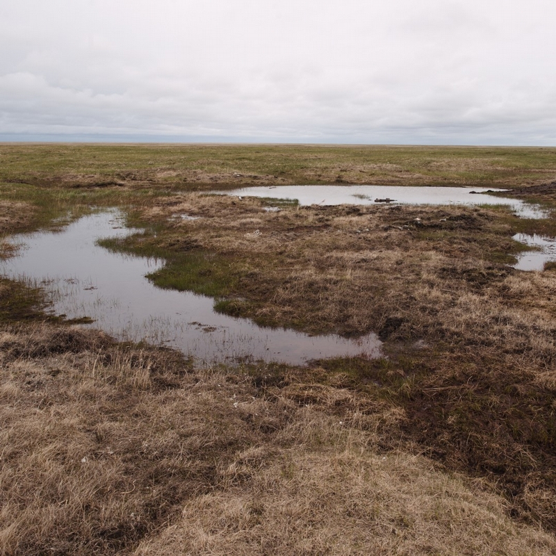 Russian Arctic Island Gets Cleaned Up 