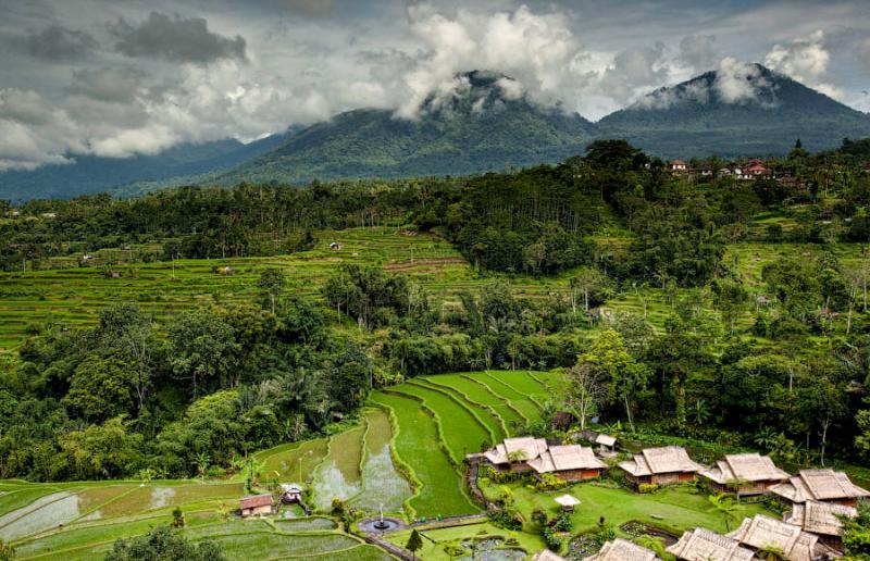 Paradise Terraces of Bali 10