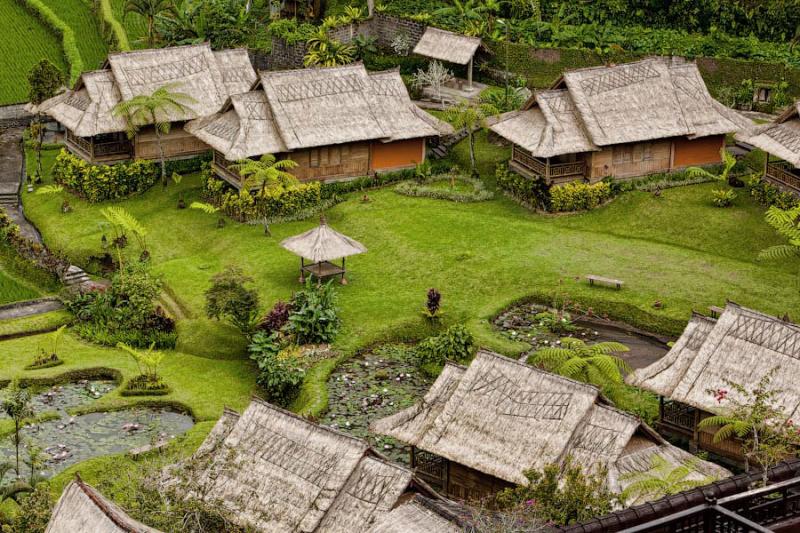 Paradise Terraces of Bali 12