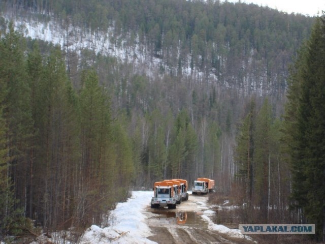 Hi Tech Oil Scouts Deep In Siberian Woods