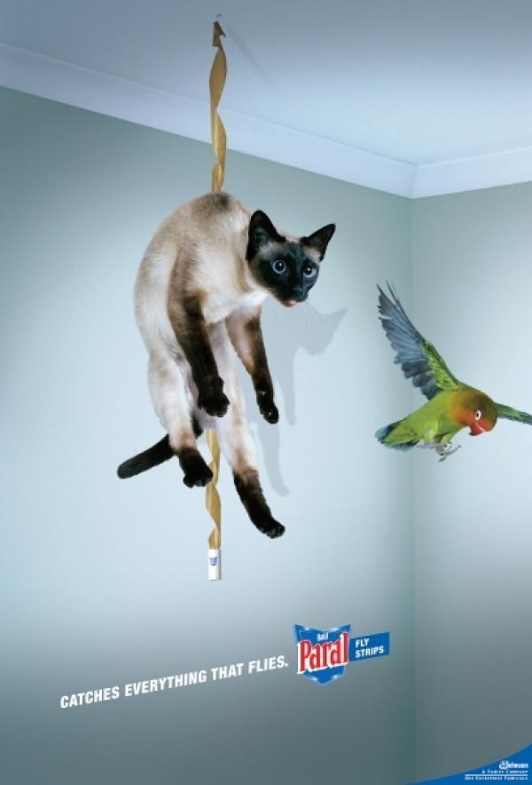 Ads With Cats